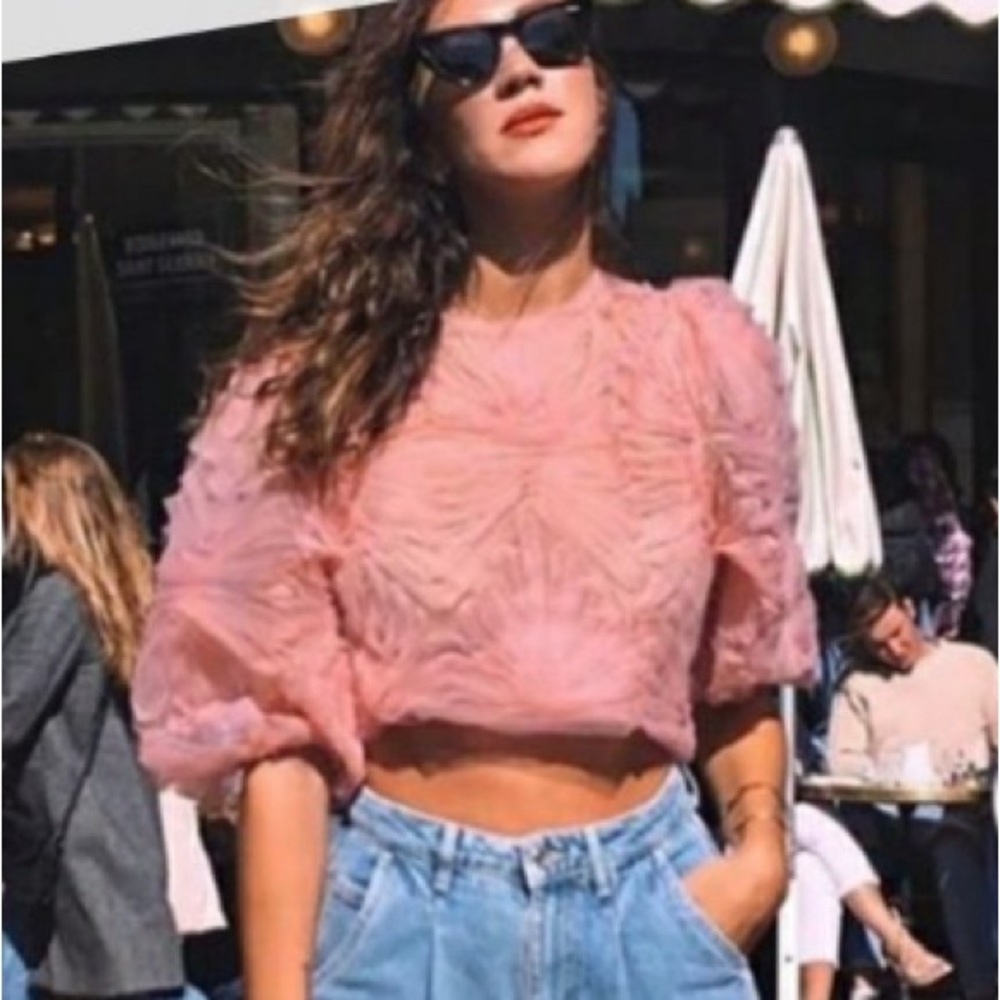 Zara Pink Tulle Puff Sleeve Sheer Mesh Top Size Medium